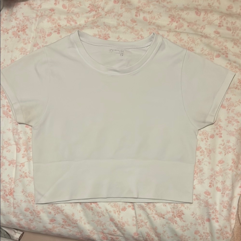 White Aerie Crop Top